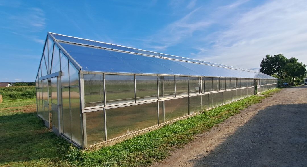 Rastlinjak Iz Polikarbonata