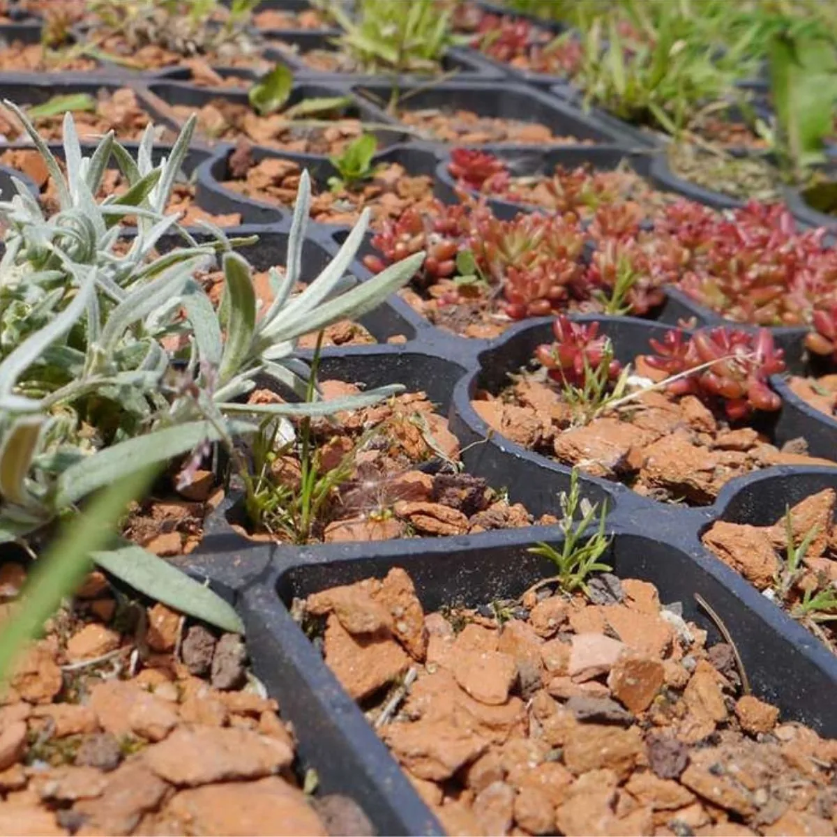 Ecoraster Namestitev Talnih Resetk