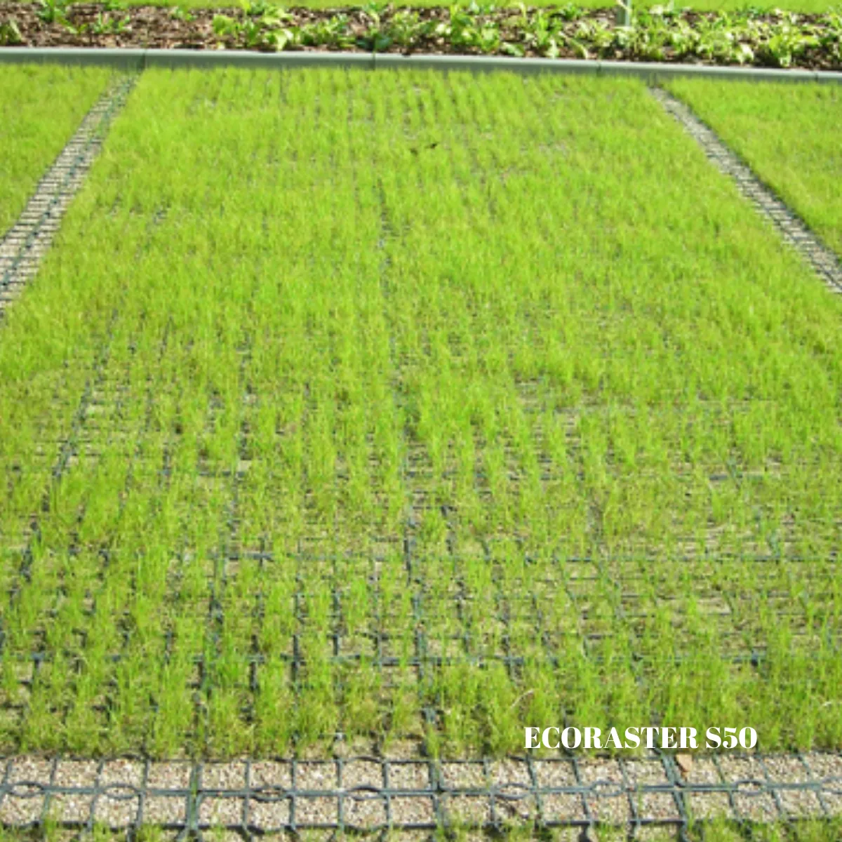 Ecoraster Utrjevanje Trate Ecoraster S50