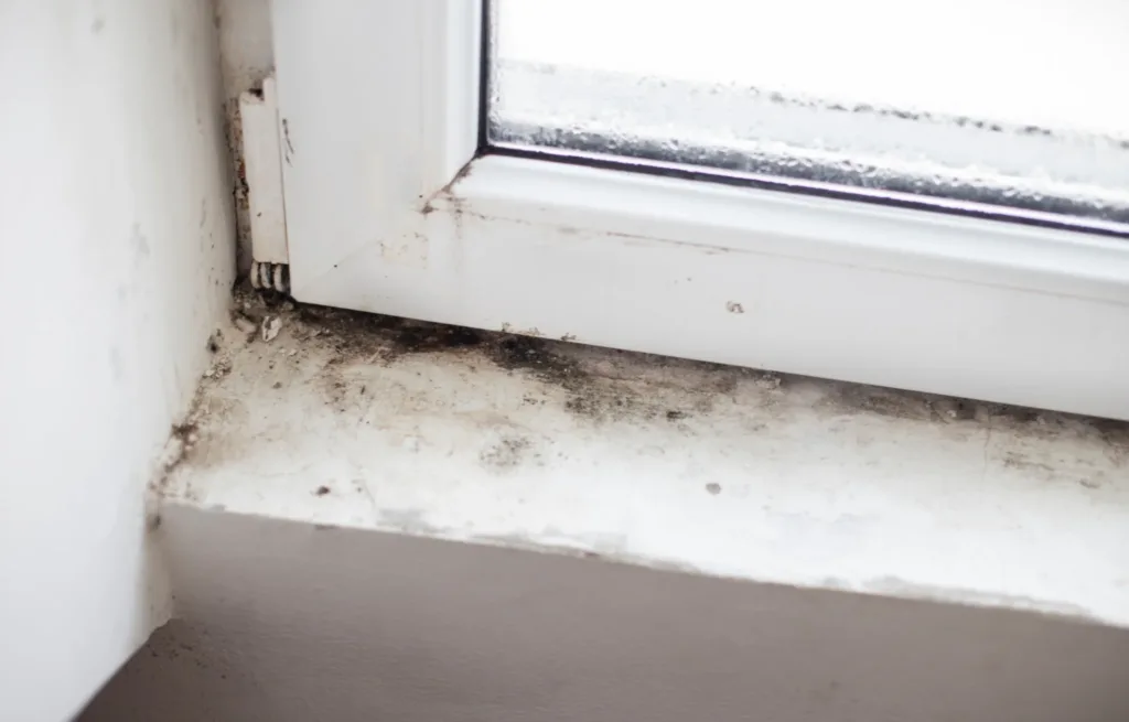 Ivent Pljesen Okno Vlaga Problem