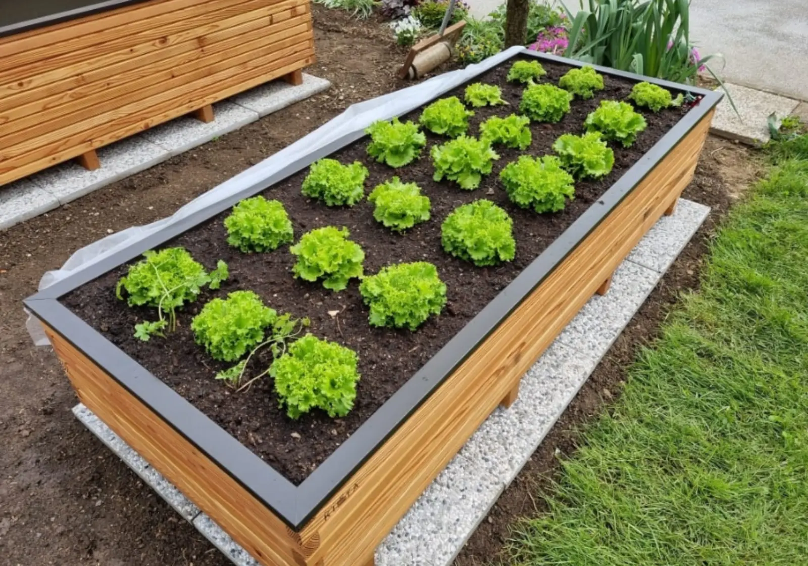 Visoka Greda Moja Kista Webp 01