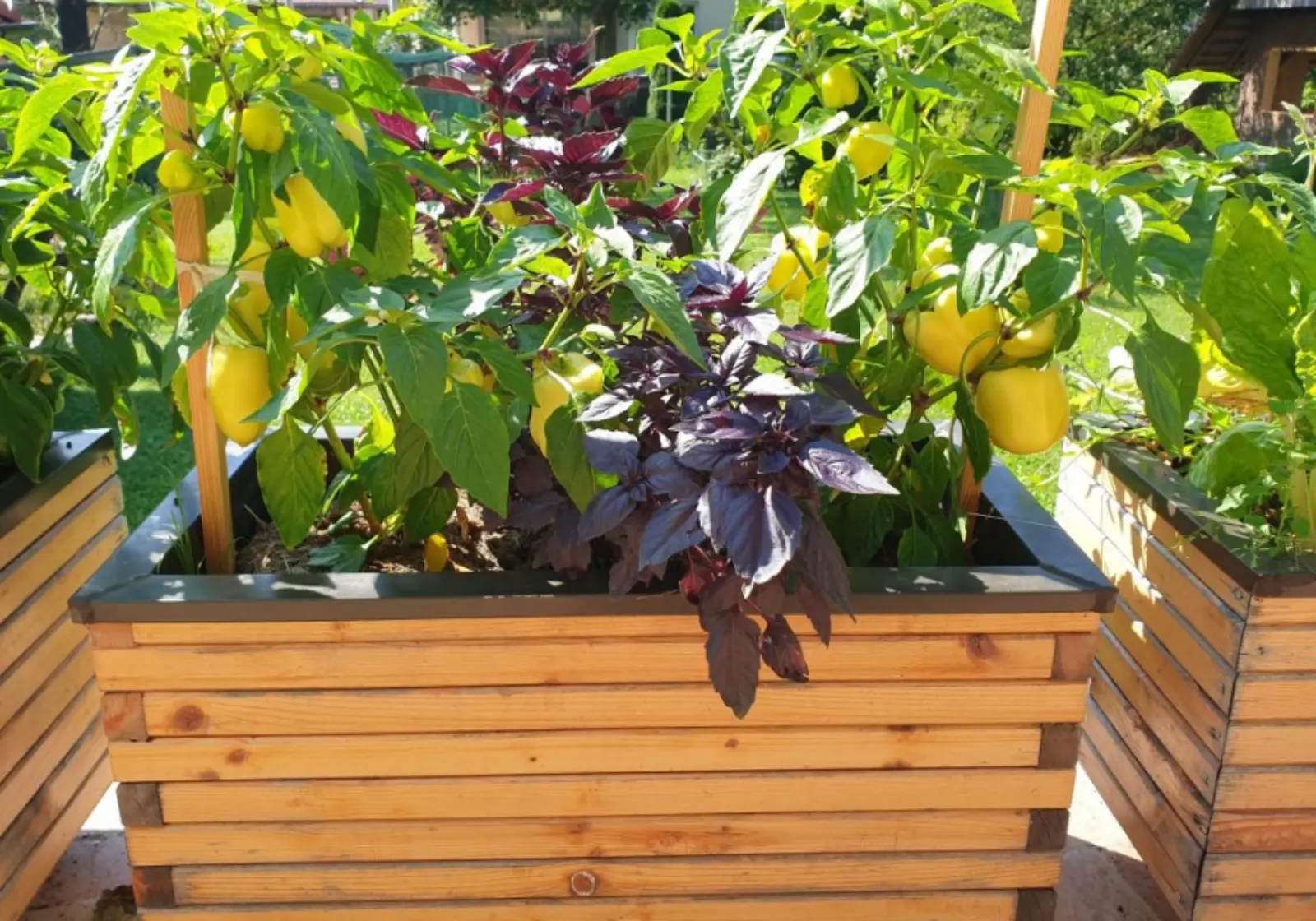 Visoka Greda Moja Kista Webp 03