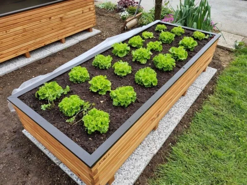 Moja Kista Mini Vodic 1 800x600